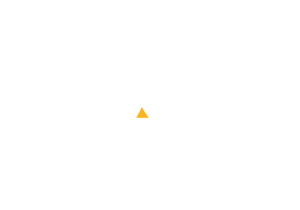 irade_1